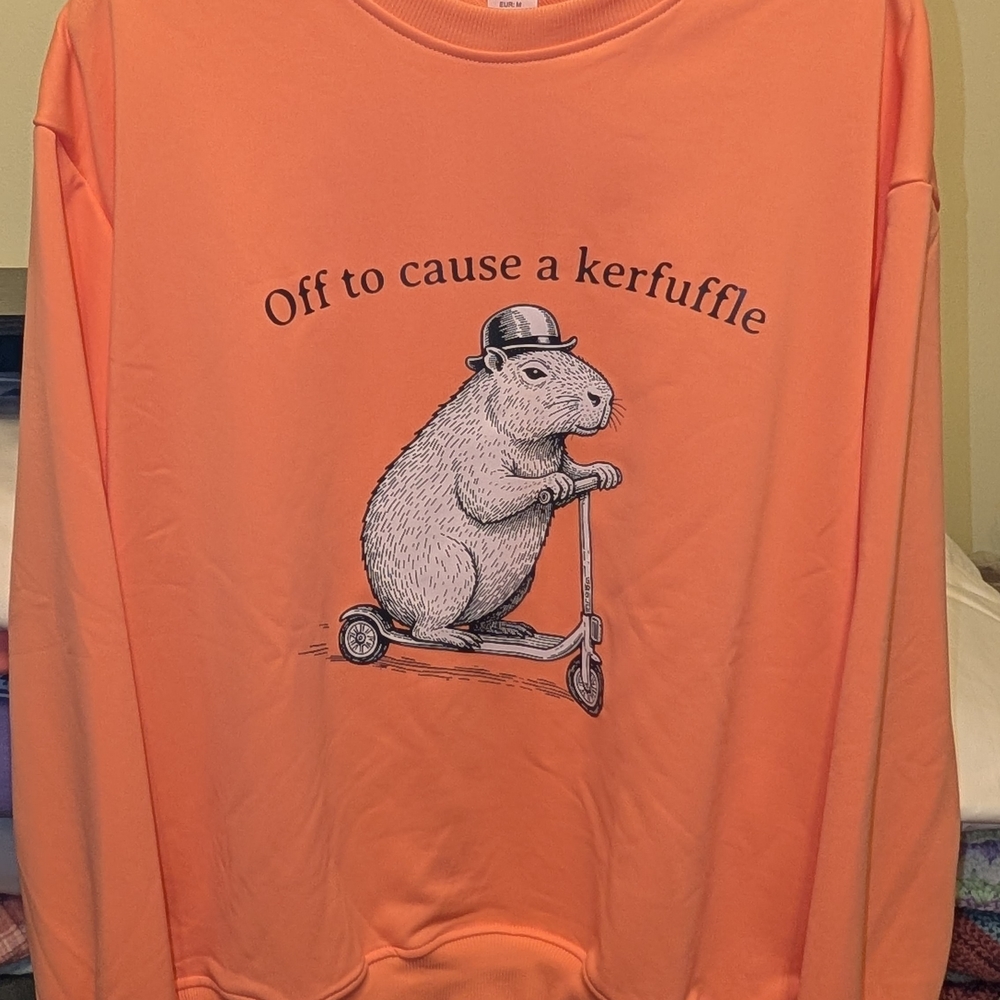 NWOT Graphic Sweatshirt "Off to cause a kerfuffle" - Coral